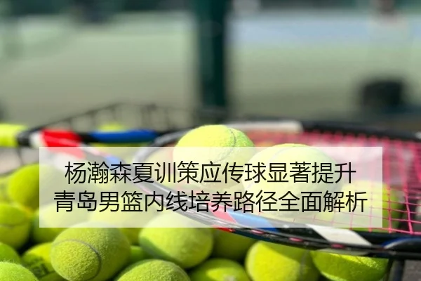 杨瀚森夏训策应传球显著提升 青岛男篮内线培养路径全面解析